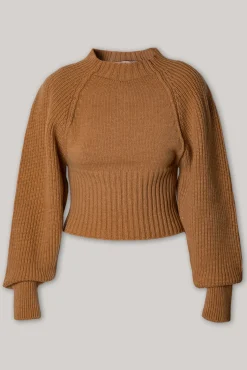 Jophiel Wool and Cashmere-blend Sweater In Rhum
